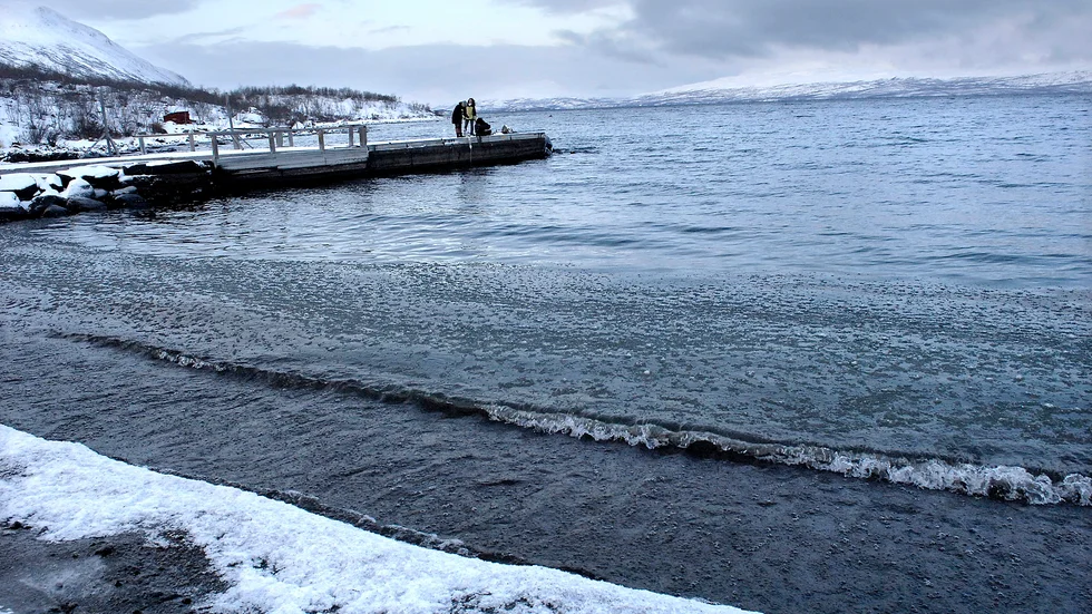 "Byggande på stränderna är en irreversibel process – de orörda stränderna går aldrig att få tillbaka", skriver Marcus Lidström, ordförande för Naturskyddsföreningen i Norrbotten.