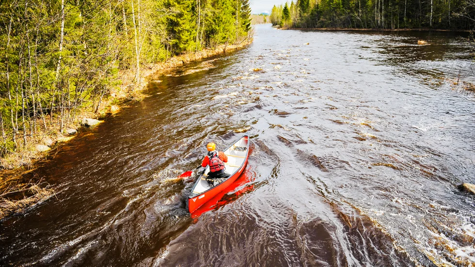 "Ett misstag är att börja åka för svåra områden på en gång. Det finns risk att det blir en dålig upplevelse", säger Oskar Hederyd om paddling.