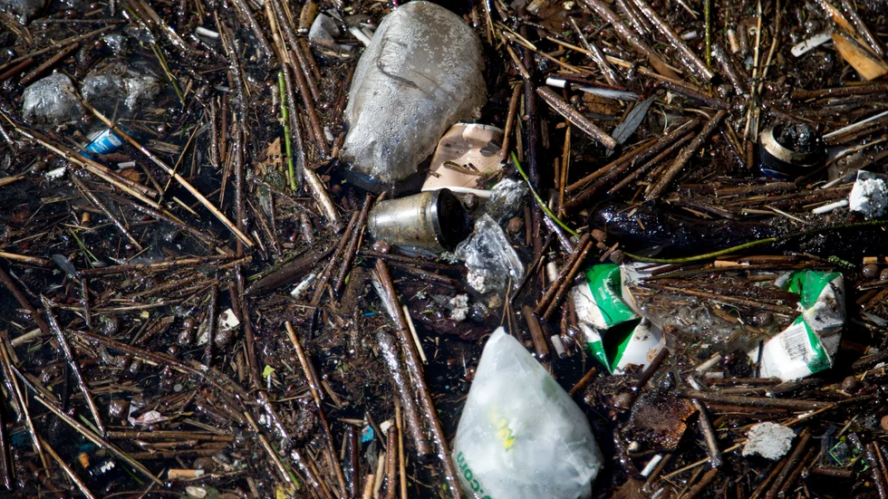 216 Oxelösundsbor har engagerat sig i att plocka skräp längs kusten. 