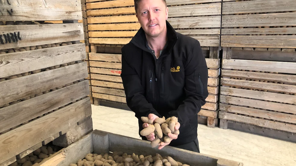Markus Levander i Bölebyn hanterar 1200 ton potatis varje år.