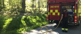 Räddningstjänsten kallades till skogsbrand