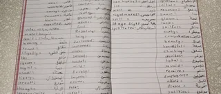 Fler elever till sommarskolan i Älvkarleby