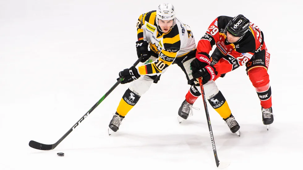 Vårens SHL:s sista omgång med Luleå–Skellefteå, spelades inför tomma läktare. Nu har SHL bestämt att kommande säsong ska starta som planerat, även om det blir utan publik.