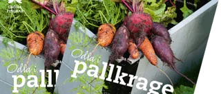 Odla i pallkragar av Eva Robild