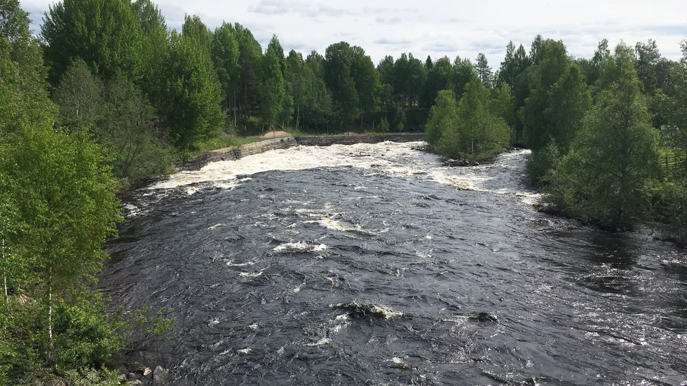 Stiden om fiskerätt har lugnat sig hävdar ordförande Peter Lundström.
