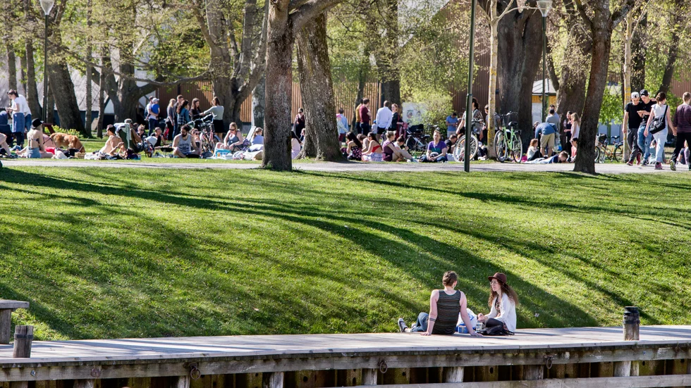 Uppsala ska bli tryggare, grönare och mer levande, menar  kommunstyrelsens ordförande, Erik Pelling (S), och Rafael Waters (S), Gatu- och samhällsmiljönämndens ordförande.