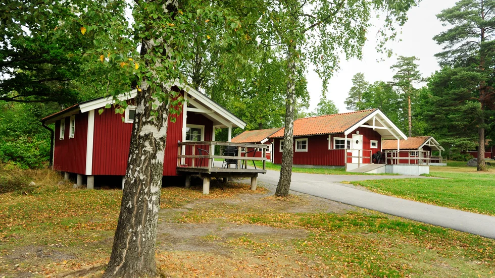 Efter flera skadegörelser på Västervik Resort utlyser man nu en hittelön på 5000 kronor till den som kan komma med tips. " Vi måste få stopp på det här".