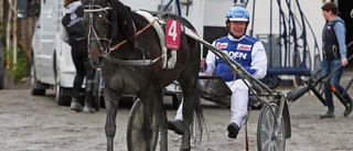Wild card till Makethemark och Milliondollarrhyme