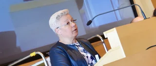 Centern tycker till - "Som inlandsbo är man härdad av ointresset" 