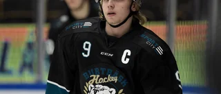 Fyra före detta AIK:are nerskickade till AHL
