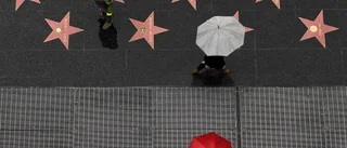 Vill se "Walk of fame" i Skellefteå – ”Fint och roligt sätt att hylla våra lokala kändisar”