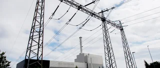 Insändare: Energipolitik – ”Lägg inte alla ägg i samma korg”