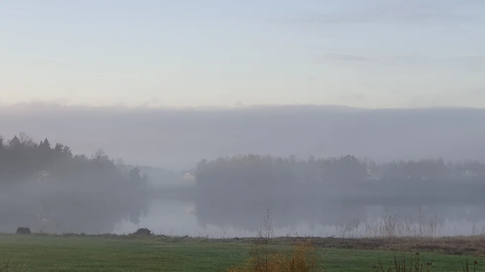 Det dimmiga vädret fortsätter den här veckan.