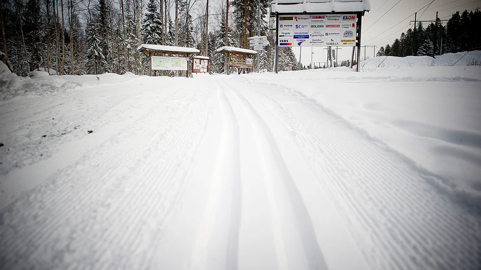 Skidspår på Vitberget, Skellefteå.
