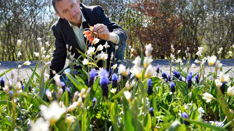 Dave Goulson, professor i biologi, vill få oss att vårda planeten –  med start i våra egna trädgårdar. 