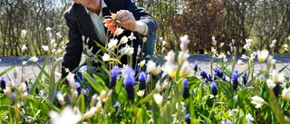 Författarna som vill läka naturen - och oss