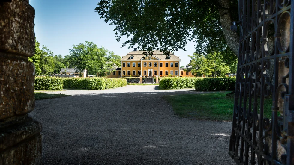 Konstnärskvartetten Andréas Hedberg, Staffan Strand samt Karin och Inger Källander ger en inblick i naturen i sin konstutställning i Lövstabruk.