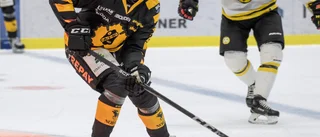 Edwin Hedberg om framtiden – och tiden i Skellefteå AIK