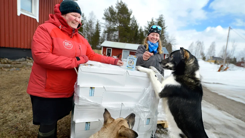 Efter att i stort sett över en natt ha tappat alla bokningar vädjade turistparet Johanna Heinrich och Katharina Koch-Hartke om hjälp för att kunna få pengar och mat till sina 33 draghundar. Nu har ett hundfoderföretag skänkt fyra pallar med torrfoder och paté för hundar.