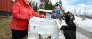 Turistparets glädjebesked efter krisen