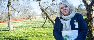 Vadstenaguiden: " Ett större inkomstbortfall" 