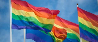 EU måste agera mot anti-hbtq-lagar