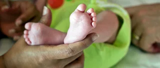 "Glöm inte att regeringen vill att man ska ange papperslösa barn"