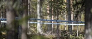 Han döms för knivdådet i Jävre