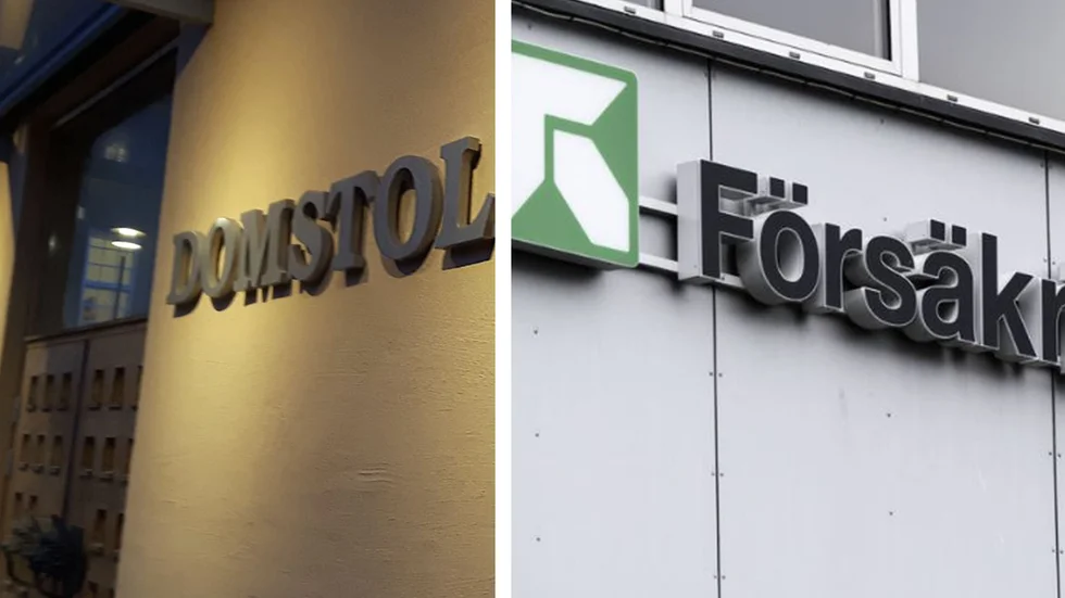 En kvinna i 30-årsåldern döms för bidragsbrott. 
