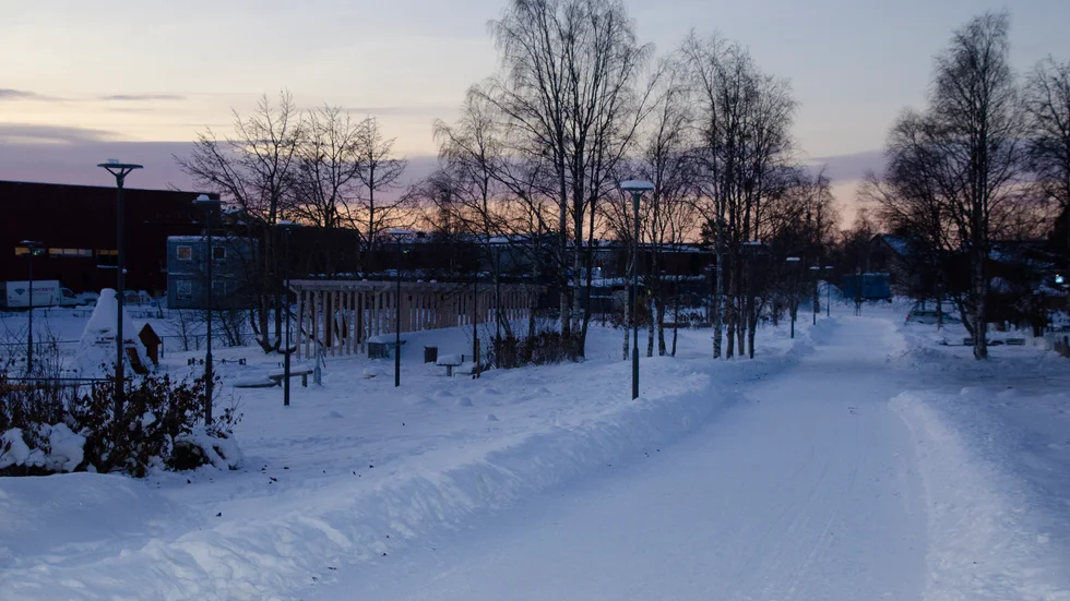 "Barn och äldre kan göra illa sig", säger Bernd Lass, boende intill Sjöparken.