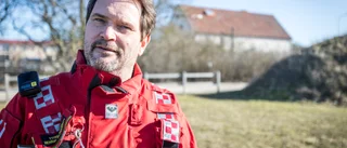 Flera träd har fallit i blåsten