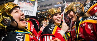 La av – nu blir guldhjälten tränare i Luleå Hockey