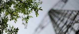 Staten förstör mark för livsmedelsproduktion
