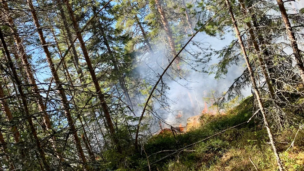 Det tog några timmar innan skogsbranden på Berkön var under kontroll. Mycket tack vare alla frivilliga som hjälpte till. 