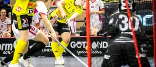 Se matchen mellan Malmö och Endre i repris här
