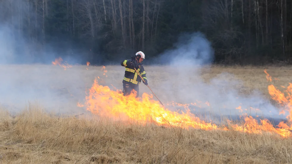 Varning för gräsbrand i Sörmland på grund av det torra fjolgräset.