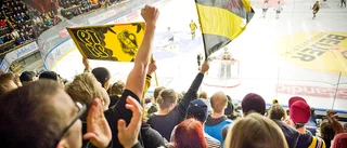 Insändare: AIK ger mångfalt tillbaka till Skellefteå