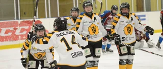 Skellefteå AIK klara för kval till SDHL