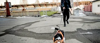 "Häftigt att lilla Morön ska möta AIK och Bajen på Skogsvallen"