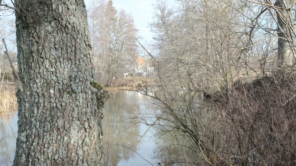 Kvaliteten på Trosaåns vatten är "otillfredställande och mycket nära gränsen till dålig", enligt Vattenmyndigheten för Norra Östersjön.