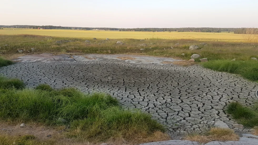 Vattensamlingen utanför 4H Årsta har torkat upp efter extremvärmen.