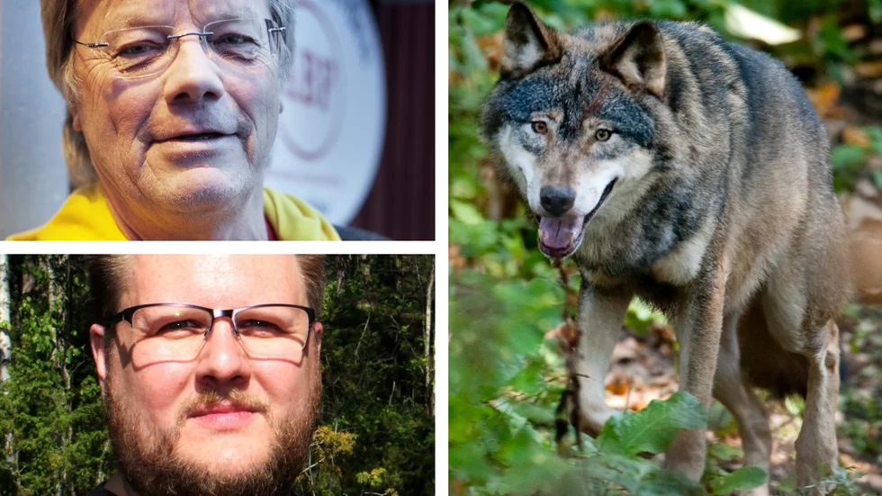 Lelle Karlsson, överst, och Mårten Lundgren är två av de som överklagat Länsstyrelsens beslut om skyddsjakt på varg. De tror inte att jakten löser problemen i reviret.