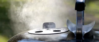 Man försökte stjäla grill – flydde från polisen
