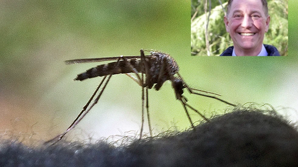 "Kombinationen av blöt mark följt av värme gör att det kläcks mycket myggor" säger Jan Lundström verksamhetschef inom Biologisk Myggkontroll.