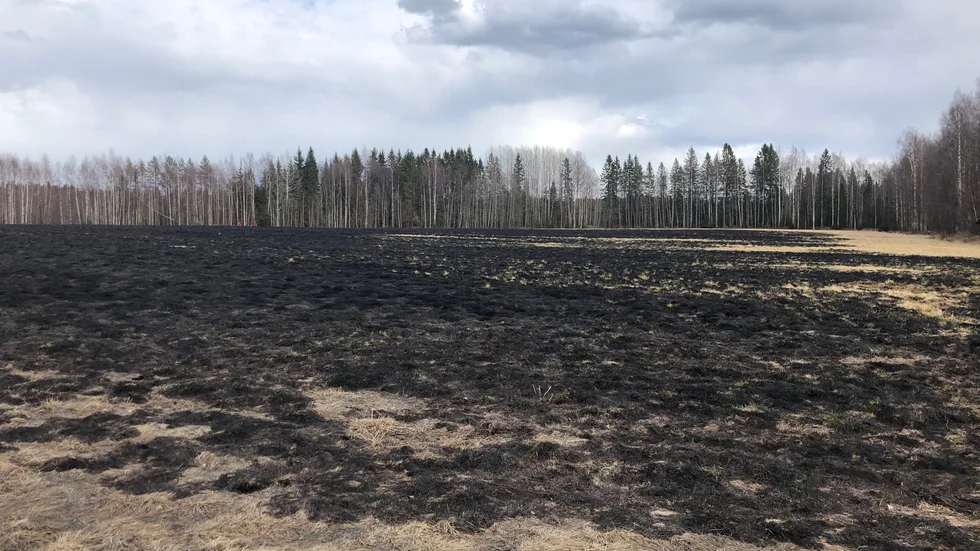 Gräsbranden i närheten av Örviken.