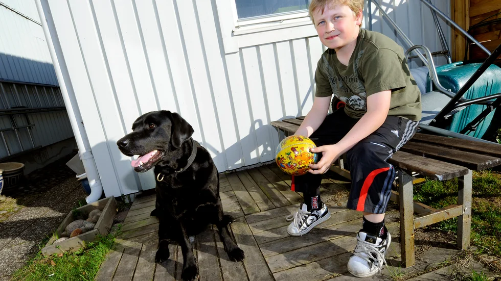Erik Fredriksson fick nöja sig med hämtpizza när grillen stals. Inte ens labradoren Jeppe reagerade på tjuvarnas besök.
