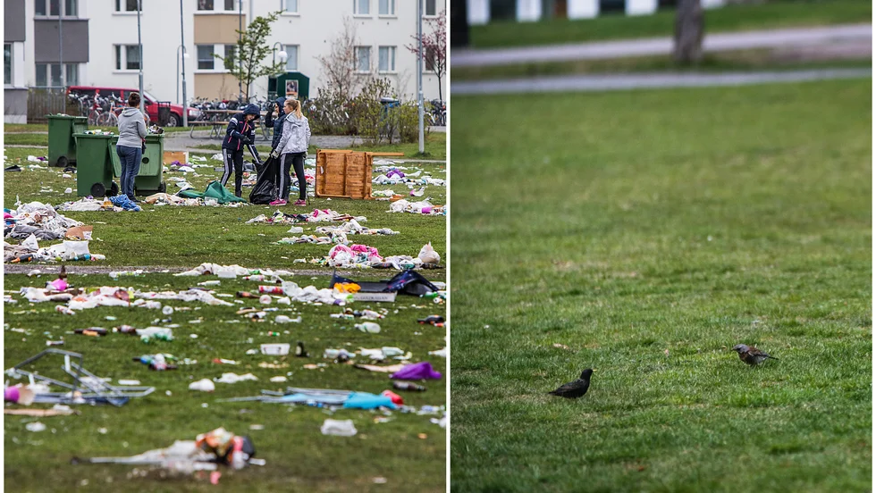 En rätt stor skillnad. På bilden syns skräpplockningen på första maj under tidigare år, men i år anträffades bara morgonpigga fåglar i Ekonomikumparken. 