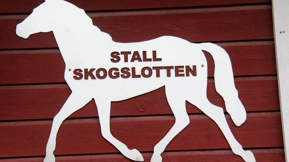 Stall Skogslotten vill gärna ha SM, men inte det som kan bli aktuellt i höst. Istället vill klubben arrangera ett mästerskap fullt ut som planerat 2021 istället för 2020.