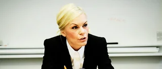 Två moderater lämnar fullmäktige