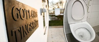 ÅTAL: Bröt sönder toalett på polisstationen